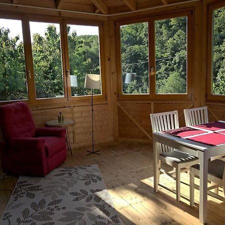 Idyllische Ferienwohnung In Zentrumsnaehe Dresden Bagian luar foto