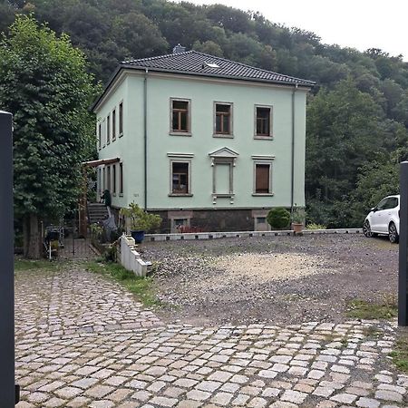Idyllische Ferienwohnung In Zentrumsnaehe Dresden Bagian luar foto