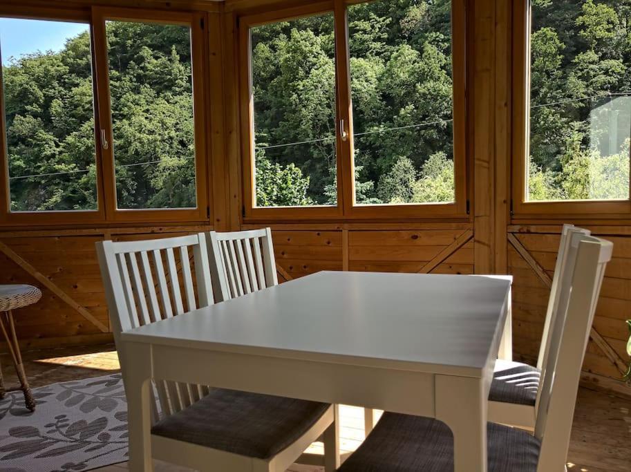 Idyllische Ferienwohnung In Zentrumsnaehe Dresden Bagian luar foto