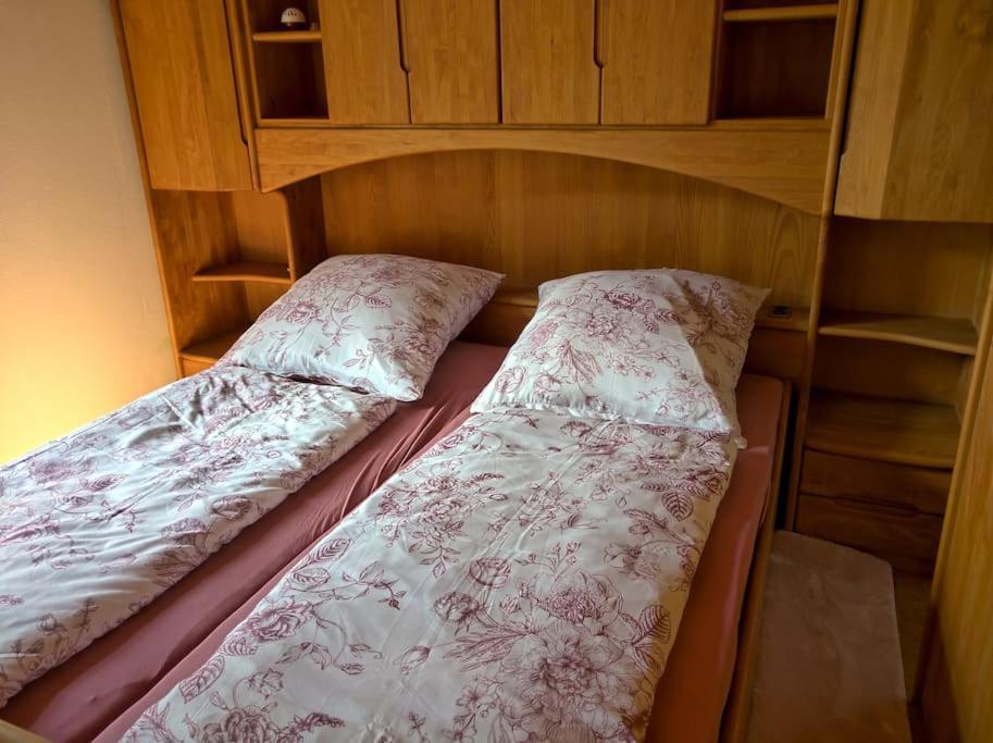 Idyllische Ferienwohnung In Zentrumsnaehe Dresden Bagian luar foto