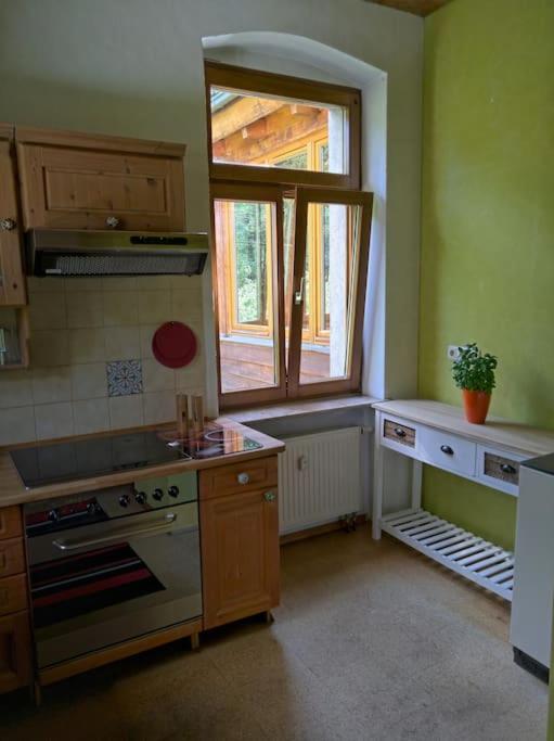 Idyllische Ferienwohnung In Zentrumsnaehe Dresden Bagian luar foto