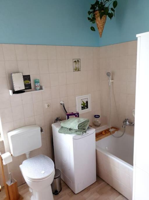 Idyllische Ferienwohnung In Zentrumsnaehe Dresden Bagian luar foto